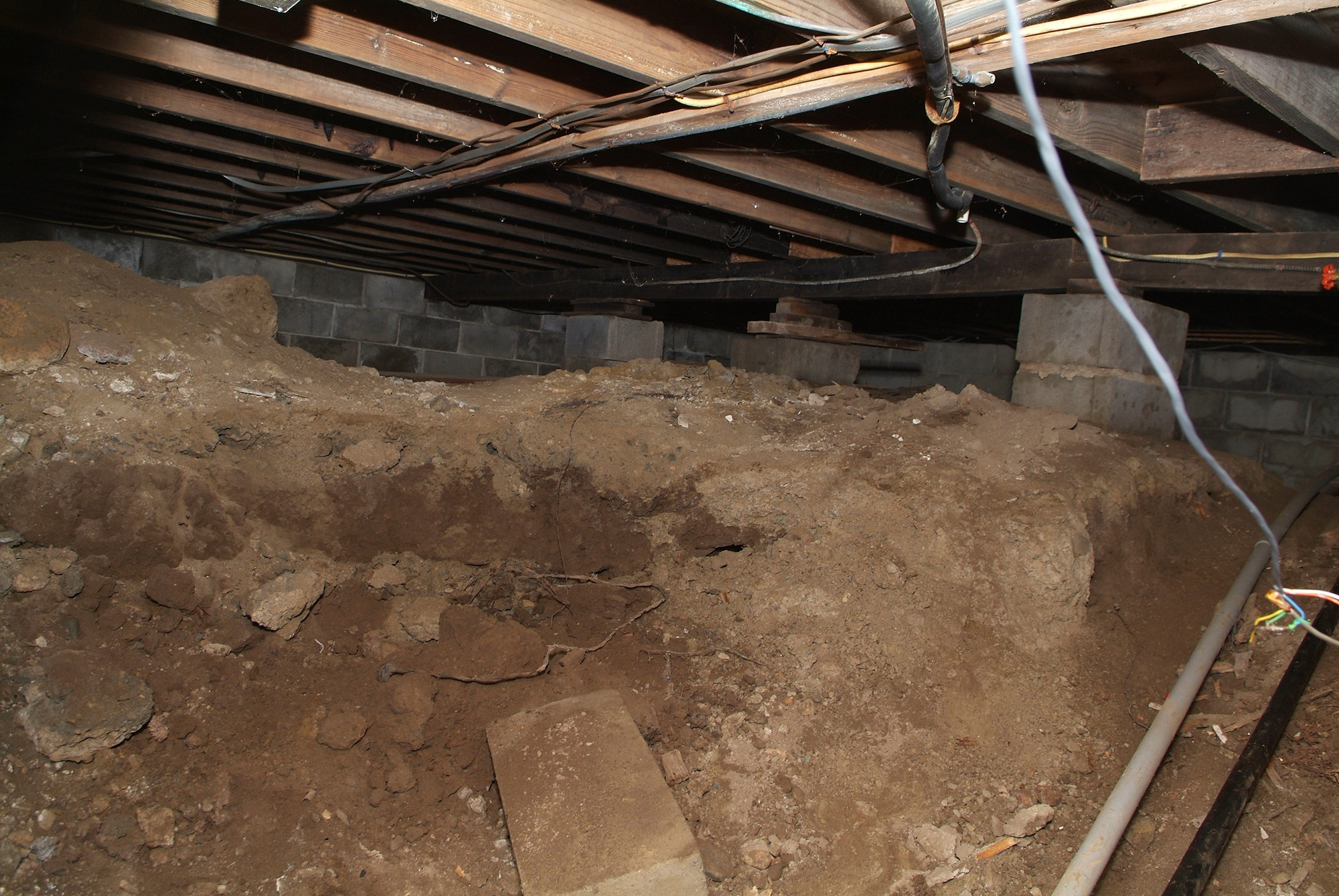 wet and moldy crawl space
